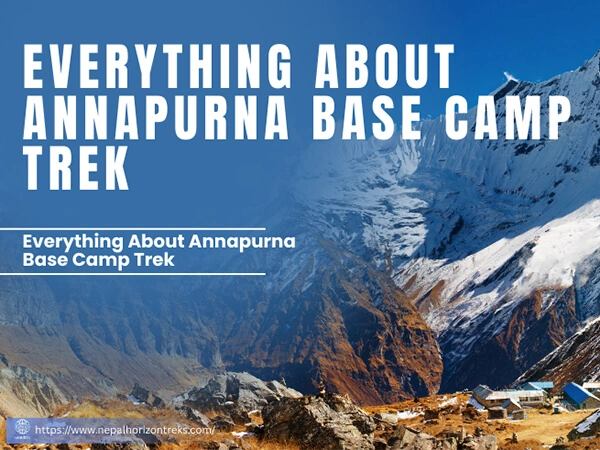 Everything About Annapurna Base Camp Trek