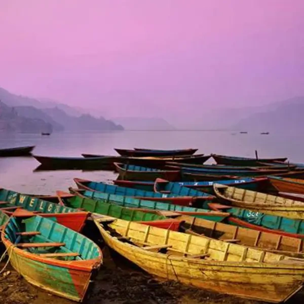 Tours and Sightseeing