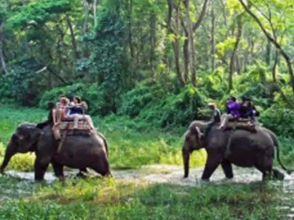 Chitwan Tour