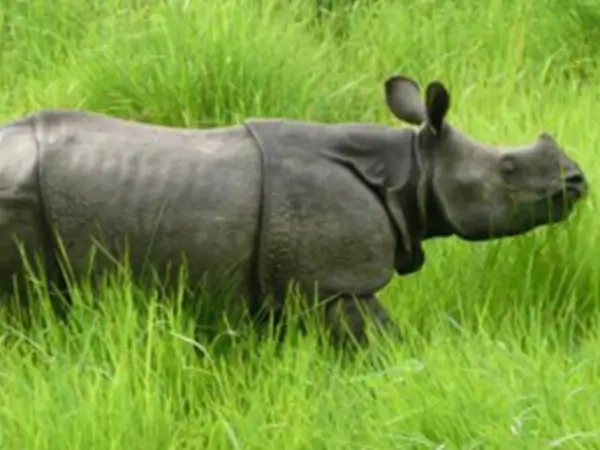 Kathmandu Pokhara Chitwan Lumbini