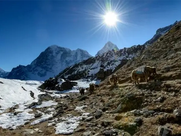 Everest Base Camp Trek