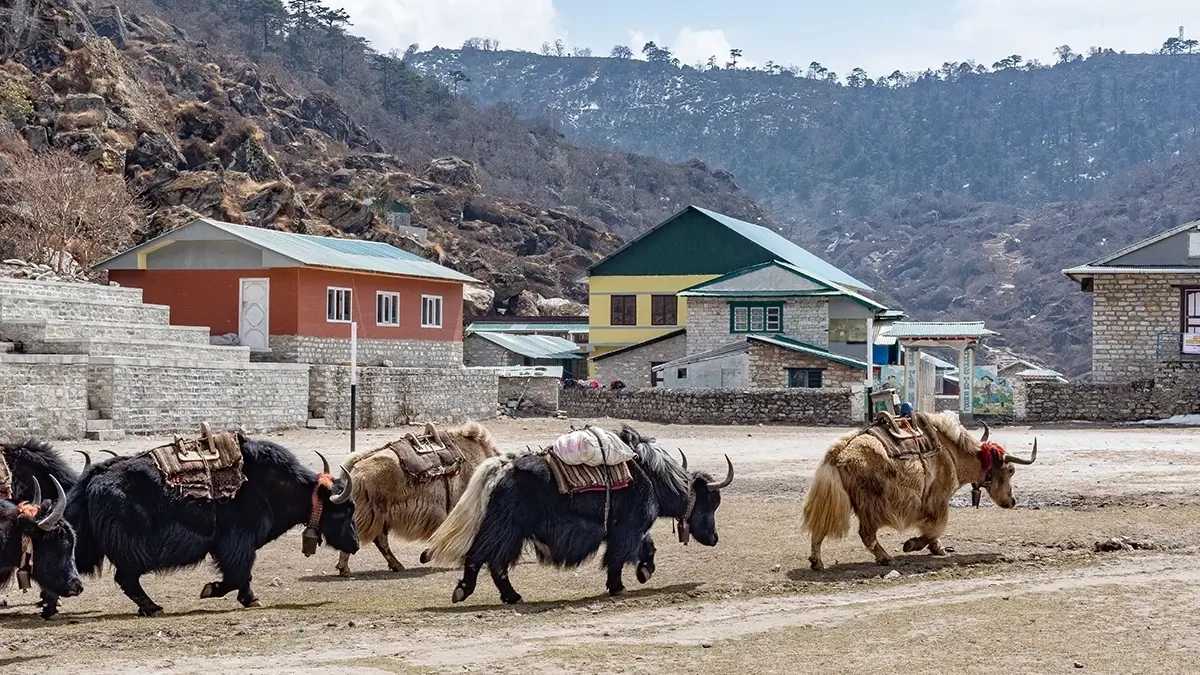 khumjung