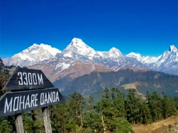 Mohore Danda Trek with Poon Hill